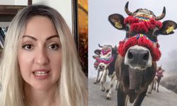 Rus gelin medyayı salladı: "Danaya nasıl gireceğiz?"