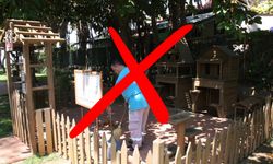 Bir devrin sonu: Alanya’da kedi parkları kapanmaya yakın