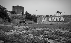 Dünyanın en ölümcül hayvanı Alanya'da fink atıyor