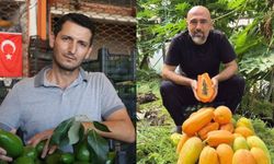Alanya'da başkanlar konuştu: Avokado fiyatları ve su tüketimi tartışması