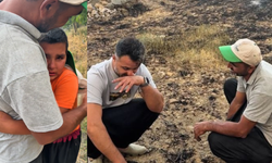 Alanya'da gözyaşları: Bir yıllık emek ve umut kül oldu