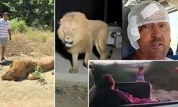 Türkiye konuşuyor! Aslan Zeus’u öldürdüler, büyük tepki var