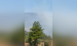 SON DAKİKA! Yanıyoruz! Maalesef Alanya’nın komşusu da alevlere teslim