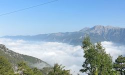 Alanya'da müthiş manzara: Dim Vadisi sise büründü