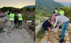 Alanya Ülkü Ocakları'ndan anlamlı mezarlık çalışması