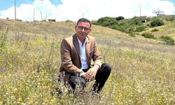 Alanya’da 'Örtüaltı Sebze Üreticileri Birliği' için harekete geçildi