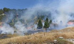 Alanya'da sulama isyanı: Felaketin boyutu yürek burktu