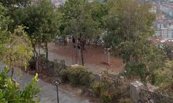Alanya seyir terası çöplüğe döndü: Vatandaşlardan temizlik çağrısı