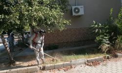 Gazipaşa Belediyesi’nden temizlik ve bakım çalışması