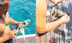 Alanya'da çırpındığını gördü, denize atlayıp kurtardı