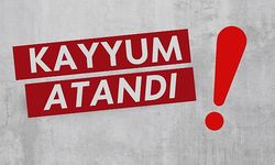 SON DAKİKA! Alanya’daki iki şirkete kayyum atandı