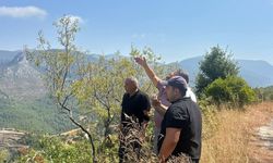 Kargı Çayı'na sulama barajı: AK Parti Alanya saha incelemesi yaptı
