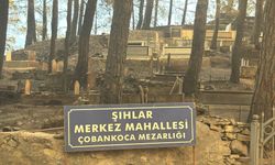 SON DAKİKA! Alanya’da yangın sürüyor, mezarlık bile yandı