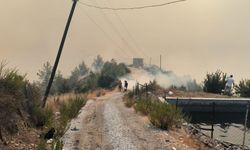 Alanya'da alevler evlere girmesin diye uğraşıyorlar