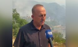 Mevlüt Çavuşoğlu yangın bölgesinde: "Rüzgar işleri zora sokuyor"
