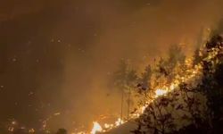 Alanya’da alevler sönmüyor! 20 ev daha boşaltıldı: Şıhlar, Yaylakonak…