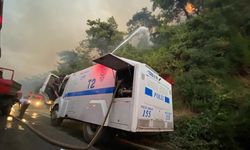 SON DAKİKA! Ne zaman sönecek? Alanya’da yangına TOMA, polis…
