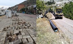 Alanya’da barınak sahipsiz kaldı, kırsalda çalışmalar başladı