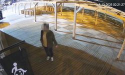 Alanya Halk Plajı'nda vandalizm! Saldırı sonrası yasal süreç başladı
