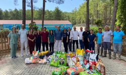 Alanya'da çağdaş hayvan barınağı hizmette