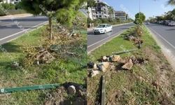 Alanya’da skandal ihale! AK Parti Alanya’ya tepki: "Yazıklar olsun!"