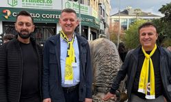 Alanya Fenerbahçeliler Derneği'nden İstanbul çıkarması