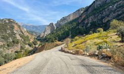 Gazipaşa Belediyesi, asfalt çalışmalarını sürdürüyor