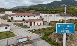 Yüzde 60’a ulaşıyor: Alanya'ya dev yatırımlar geliyor