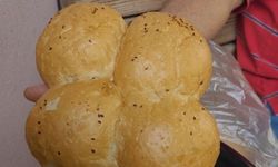 Alanya’da ekmekteki yaprak sayısı düştü mü?