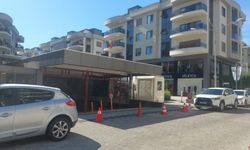 Alanya'dan iki ayrı gündem: Ağaç katliamı iddiası ve otopark krizi