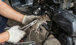 Alanya’da bir fare için tüm motosiklet söküldü