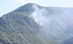 SON DAKİKA! Alanya’dan alevler yükseliyor, orman yanıyor