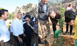 AK Parti'li Tavlı'dan Kültür ve Çevre vurgusu