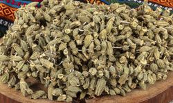 Alanya’da bamya sofradan kalktı: Kilosu 5 bin TL!
