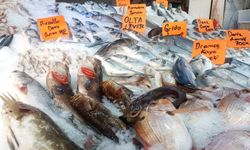 Alanya şaşkınlar: İşleri neredeyse durmak üzere