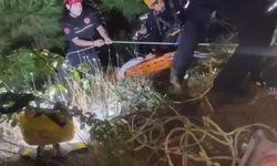 Alanya Dim Çayı'nda uçurumdan düşen 2 kişi kurtarıldı