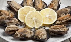 Midye 3 can aldı, Alanya’da vatandaşlar uyarıldı