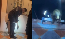 Alanya’da Azrail’e çalım: Daracık boşlukta 9. canını kullandı!