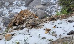 Gökbel Yaylası’na mevsimin ilk karı düştü