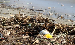 Alanya resmen kustu! Ciddi maddi hasar var