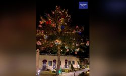 Göreme'de büyülü kış: 12 metrelik dev çam ağacı altında Noel Pazarı kurulacak