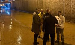 CHP'li Kaya, Alanya’da hasar tespit çalışmalarına katıldı