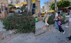 Alanya Belediyesi uyarıyor: Budama atıkları çöp değildir