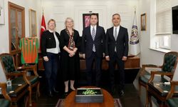 Finlandiya Büyükelçisi’nden Kaymakam Öztürk’e ziyaret