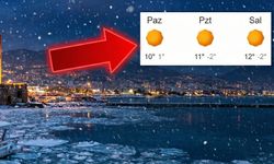 Alanya tir tir titriyor! Aniden dipleri görüp donacağız