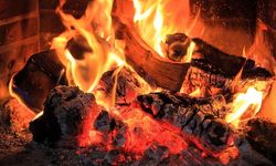 Alanya'da elektrikten kaçanı odunlar yakıyor: Tonu 8 bin TL'ye dayandı