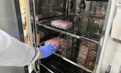 Erken teşhis için Alanya'da "Çip Üstü Organ" teknolojisi