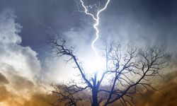 Alanya’ya düşen yıldırım yangın çıkardı