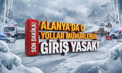 SON DAKİKA! Alanya’da o yaylalara gitmek yasaklandı!