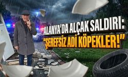 Alanya’da alçak saldırı, muhtar çok kızdı: "Şerefsiz adi köpekler!"